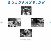 www.guldfaxe.dk